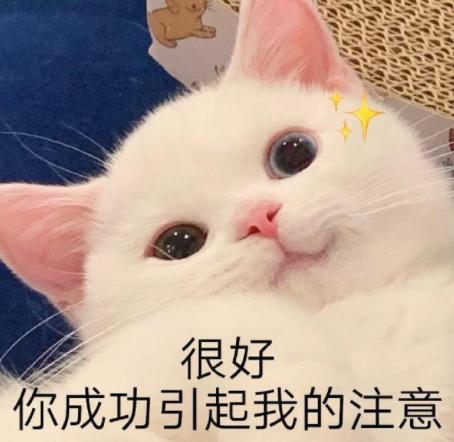 DƬ